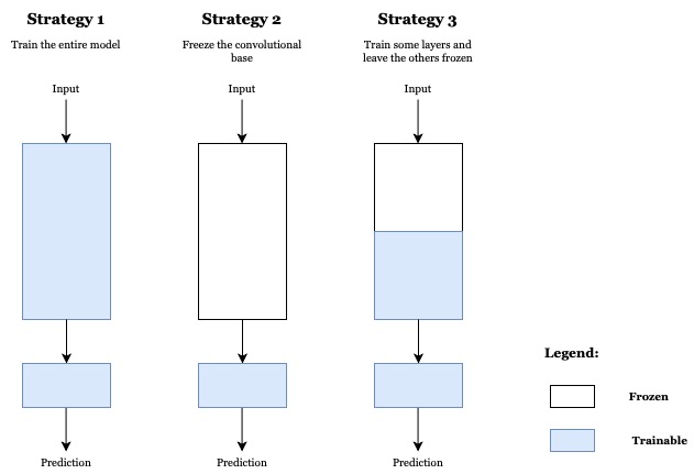 Figure 1. Fine-tuning strategies.