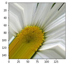 Output 6. Image augmentation of flowers data set - image generator sample image 1.